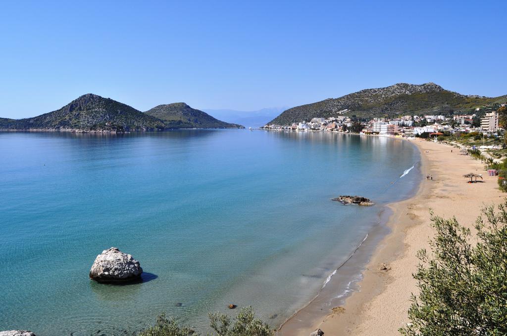 Hotel King Minos 4*
